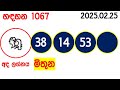 handahana 1067 2025.02.25 today nlb lottery result අද හඳහන දිනුම් ප්‍රතිඵල අංක lotherai 1067 hadahan