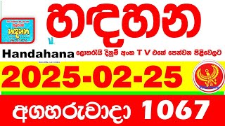 Handahana 1067 2025.02.25 Today NLB Lottery Result අද හඳහන දිනුම් ප්‍රතිඵල අංක Lotherai 1067 hadahan