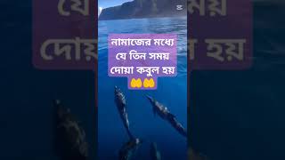 নামাজের মধ্যে যে তিন সময় দোয়া কবুল হয় 🤲🤲🤲#viralvideo #allahhuakber #shortvideo #islamicgojol