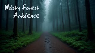 Misty Forest in the Rain 🌧️ | Relaxing 4K Ambient Music