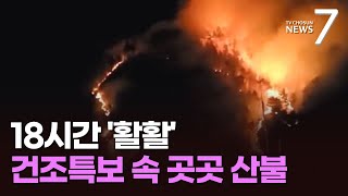 정선 산불 18시간 만 진화…바짝 마른 동쪽지역 '화약고' [뉴스7]