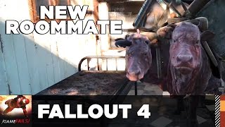 New Roommate - Fallout 4 - GameFails