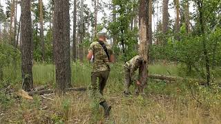 Перелік сухостійних і буреломних дерев