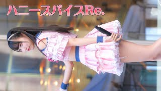 【4K/60P】ハニースパイスRe. 「Me My ハピネス」 2024.12.01 歌舞伎町タワーステージ（Japanese idol group）