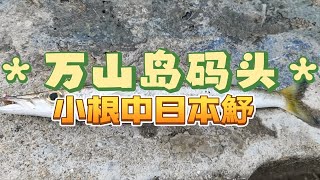 万山岛军用码头，是我最喜欢的标点之一，每次都能收获满满万