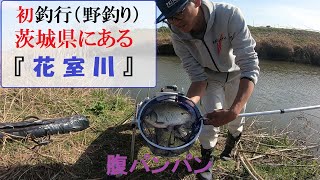 初釣行！！野釣り！！茨城県！！花室川！！