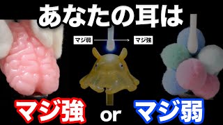 あなたの耳は マジ強 or マジ弱 テストASMR 【ゾクってなったら終了】