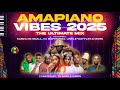 Amapiano Vibes 2025 | Biri Marung | Skuta Baba | Sthandwa Sam & More