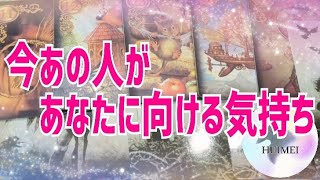 今あの人があなたに向ける気持ち🦋恋愛タロット🦋相手の気持ち🦋片思い復縁複雑🦋個人鑑定級占い