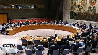 UN Security Council fails to adopt rival resolutions on Syria