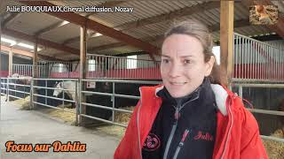 Portrait de Julie Bouquiaux, gérante de l'écurie Cheval Diffusion à Nozay