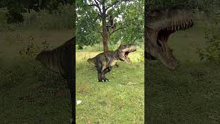 Dinosaur attack. #viral #dinosaur #youtube #trending #youtubeshorts #shorts #viral #animals