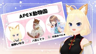 【APEX/本番】ちぇなカスタム　teamAPEX動物園　 w/八雲さん、天森ほにべぁちゃん【紺乃いなり/vtuber】【#apex】