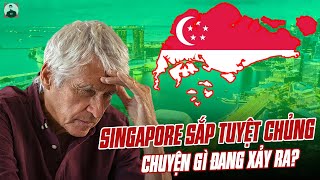 SINGAPORE SẮP BỊ TUYỆT CHỦNG: CHUYỆN GÌ ĐANG XẢY RA VỚI ĐẢO QUỐC SƯ TỬ?