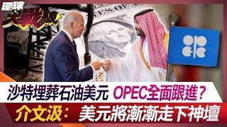 沙特埋葬石油美元 OPEC全面跟進？ 介文汲：美元將漸漸走下神壇【#環球大戰線】20240614-P1  林依伶 介文汲 王尚智 黃征輝