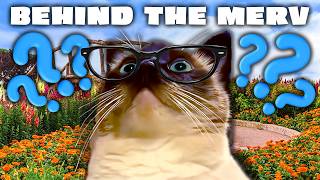 Merv ANSWERS Your Most Asked Questions + Secret Footage!