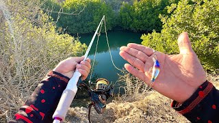 IMPOSIBLE no PESCAR AQUÍ con EQUIPO LIGEROS // pesca con MINNOW // pesca con Roger