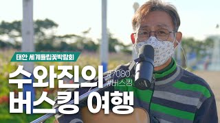 [수와진의 버스킹 여행 #111] 태안 세계 튤립 꽃 박람회 (22.4.12)