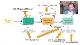 PSYC 359: MEMORY 3: The Atkinson \u0026 Shiffrin Model