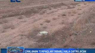 Gəncədəki çirkili torpaqlar