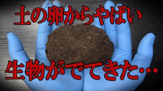 土の卵からどんでもない状態の生物が…なんでこうなった？