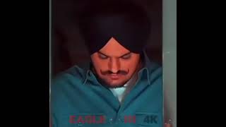 eagle=144p sidhu moosewala=4k.#sidhumoosewala #attitude #status