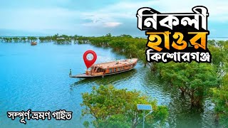 কিশোরগঞ্জ নিকলী হাওর সম্পূর্ণ ভ্রমণ গাইড | ঢাকা থেকে নিকলী হাওর | Nikli Haor | travel with rd