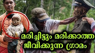 മരിച്ചുപോയ ആളുകളെ  വീണ്ടും ജീവിപ്പിക്കുന്ന ഇന്തോനേഷ്യൻ ജനത  | Malayalam Mojo