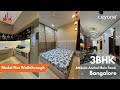 Ultra-Luxury Apartment Walkthrough | 3bhk | On Attibele-Anekal Main Road | RK Celesta | Ceyone