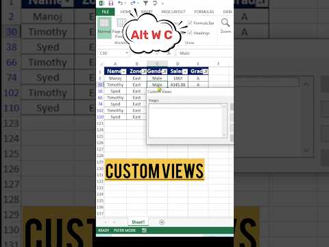 Time-saving tricks for Excel: Manage custom views for efficient data management!