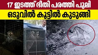 Leopard Trapped in Cage | 17 ഇടത്ത് ഭീതിപരത്തി പുലി, ഒടുവില്‍ കൂട്ടില്‍ കുടുങ്ങി