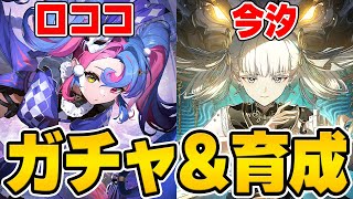 【配信】新キャラ『ロココ』と復刻の『今汐』をガチャで引いて育成して使っていくぞ！！！【Wuthering Waves】