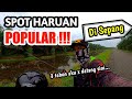 Spot Casting Haruan POPULAR Di Sepang | Dah TIGA TAHUN Aku Tak Masuk Sini... #fishing #snakehead