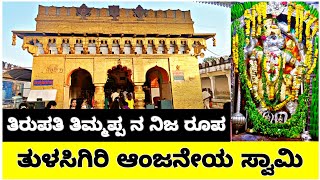 Tulasigiri shri hanuman temple || Tulsigirishaa || Tulasigiri Anjaneya Swamy Temple 🙏