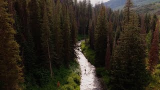 IF4 Official Selection - Native Range Trailer