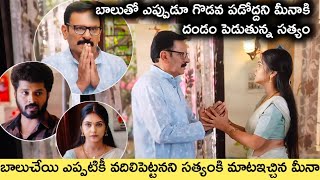 చేతులెత్తి నీకు దండంపెడతాను తల్లి బాలు చేయిని ఎప్పటికీ వదిలిపెట్టకు అని సత్యం మీనాకి  దండం పెడతాడు