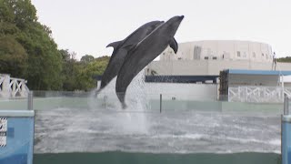 GWは最長9連休！　観光地・旅行業界は期待感　3月に売り切れたツアーも　高松市