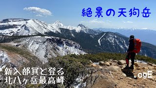 【噂の新入部員】北八ヶ岳最高峰　天狗岳と黒百合ヒュッテのビーフシチュー