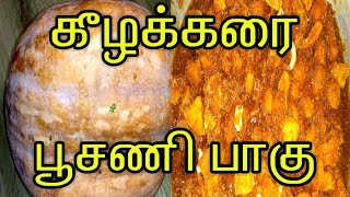 மஞ்சள் பூசணி இருந்தா இப்படி செய்து பாருங்க/ pumpkin recipes in tamil