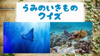 子ども向け 生き物クイズ 今回のお題は海の生き物たち！ vol.5