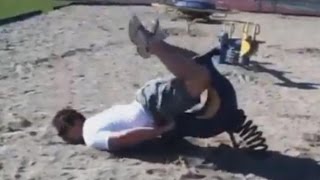 FUNNY GIF COMPILATIONS | FUNNY VIDEO