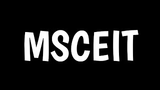 MSCEIT | Emotional Intelligence | Mayer-Salovey-Caruso Emotional Intelligence Test |