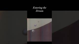 Entering The Dream