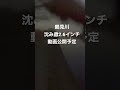 鶴見川でのバスフィッシング