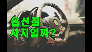 자동차의 과한 옵션은 사치일까??