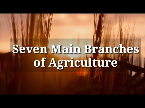 What are the five components of agriculture?