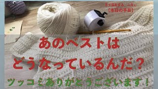 あのベストはどうなっているんだ？【本日の手芸】today's handicraft