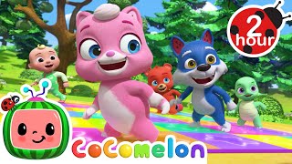 Animal Dance🪩🐱 | Cocomelon - Nursery Rhymes | Fun Cartoons For Kids