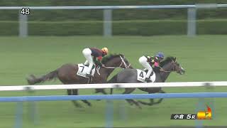 2024 07 14 小倉5R 2歳新馬 トップオンザヒル(田口貫太)