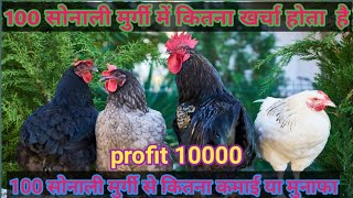 100 सोनाली मुर्गी पालन की पूरी जानकारी | Details 100 Sonali murgi Farming | 100 sonali murgi palan